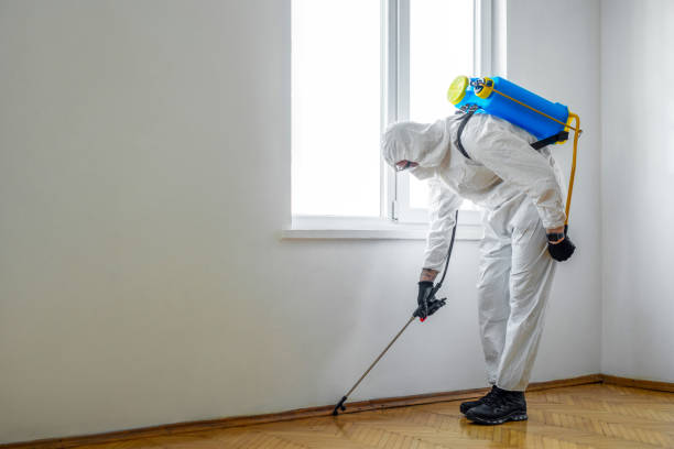 Best Emergency Pest Control  in Madera, CA